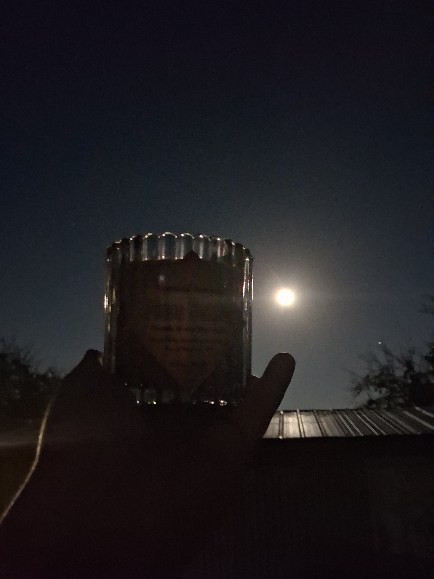 Moon Bathing